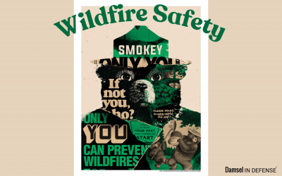 Wildfire Safety